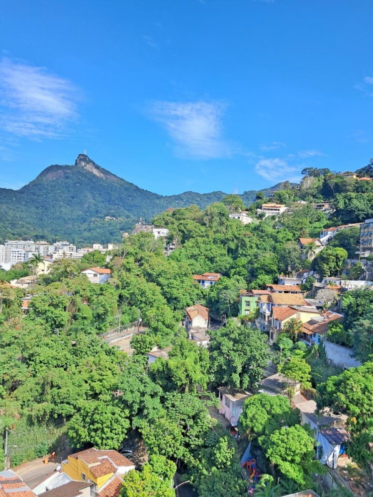 Apartamento - Venda - Laranjeiras - Rio de Janeiro - RJ